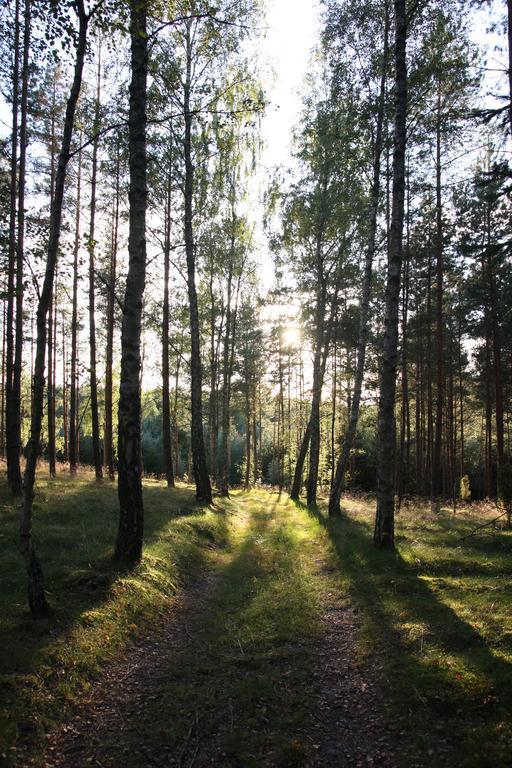 Agroturystyka Sominy Piotr エクステリア 写真