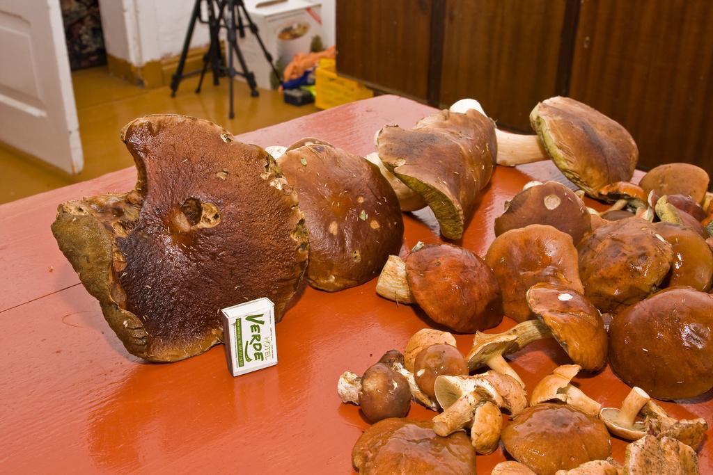 Agroturystyka Sominy Piotr エクステリア 写真