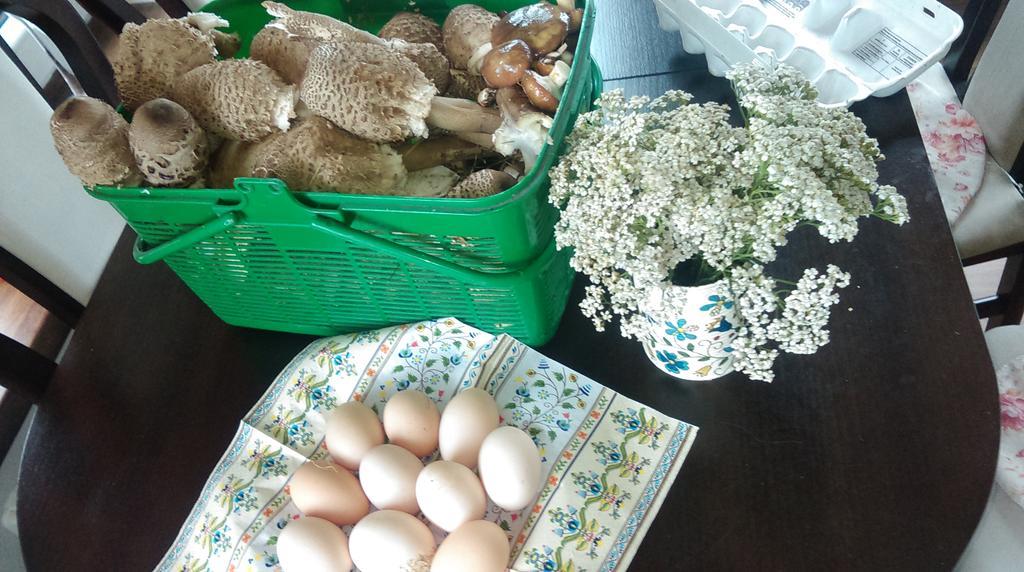 Agroturystyka Sominy Piotr エクステリア 写真