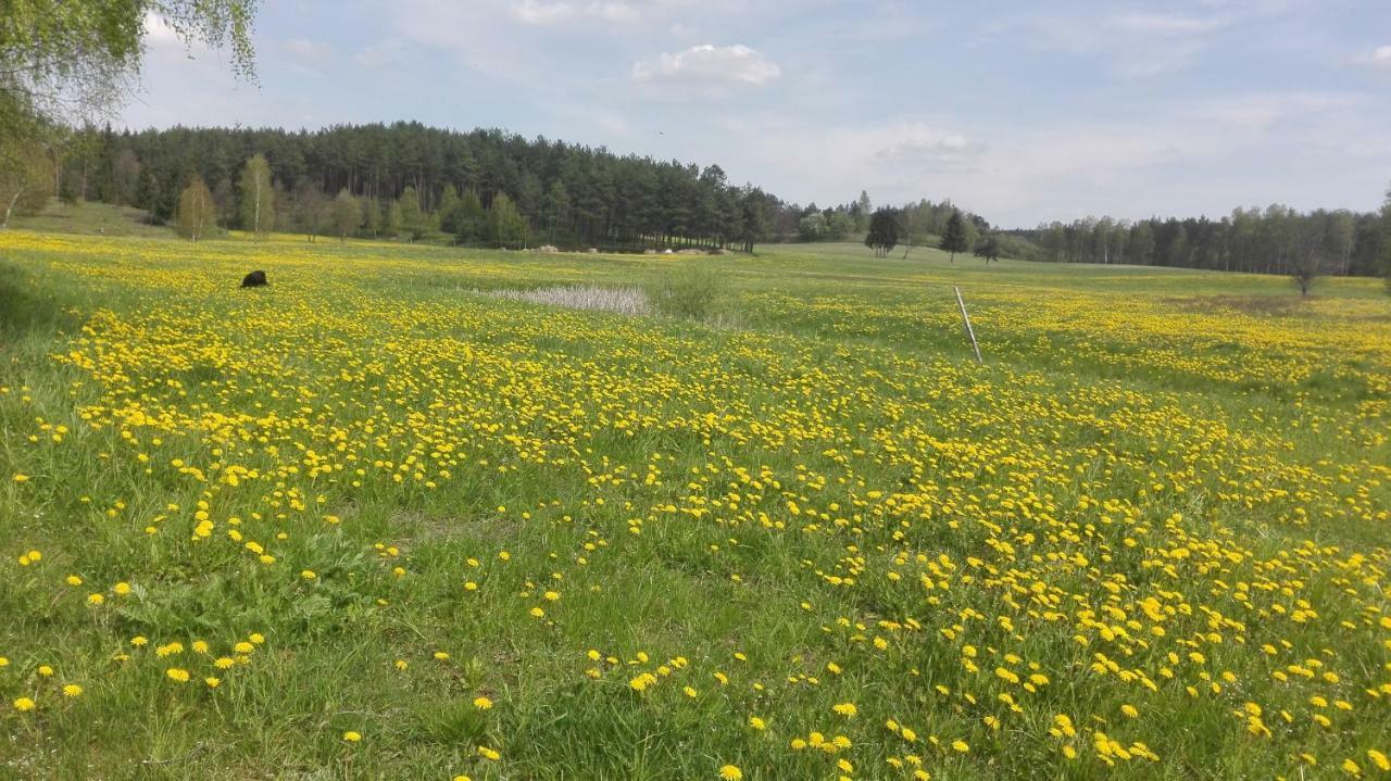 Agroturystyka Sominy Piotr エクステリア 写真